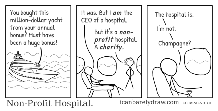 Non-Profit Hospital. A hospital is non-profit but its CEO is not.