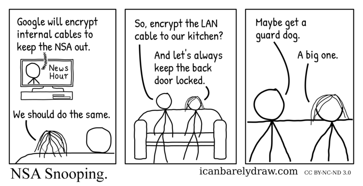 NSA Snooping. TV viewers concerned about NSA snooping consider encrypting the LAN cable into their kitchen, keeping their back door locked, and getting a dog for security.